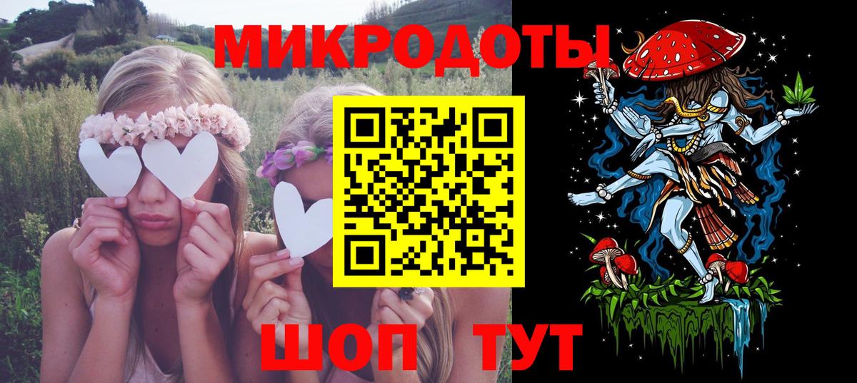 Галлюциногенные грибы Psilocybe Ейск