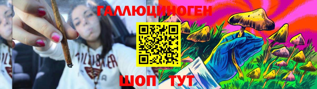 Псилоцибиновые грибы мухоморы  Вход с VPN  Ейск  Галлюциногенные грибы Magic Shrooms 